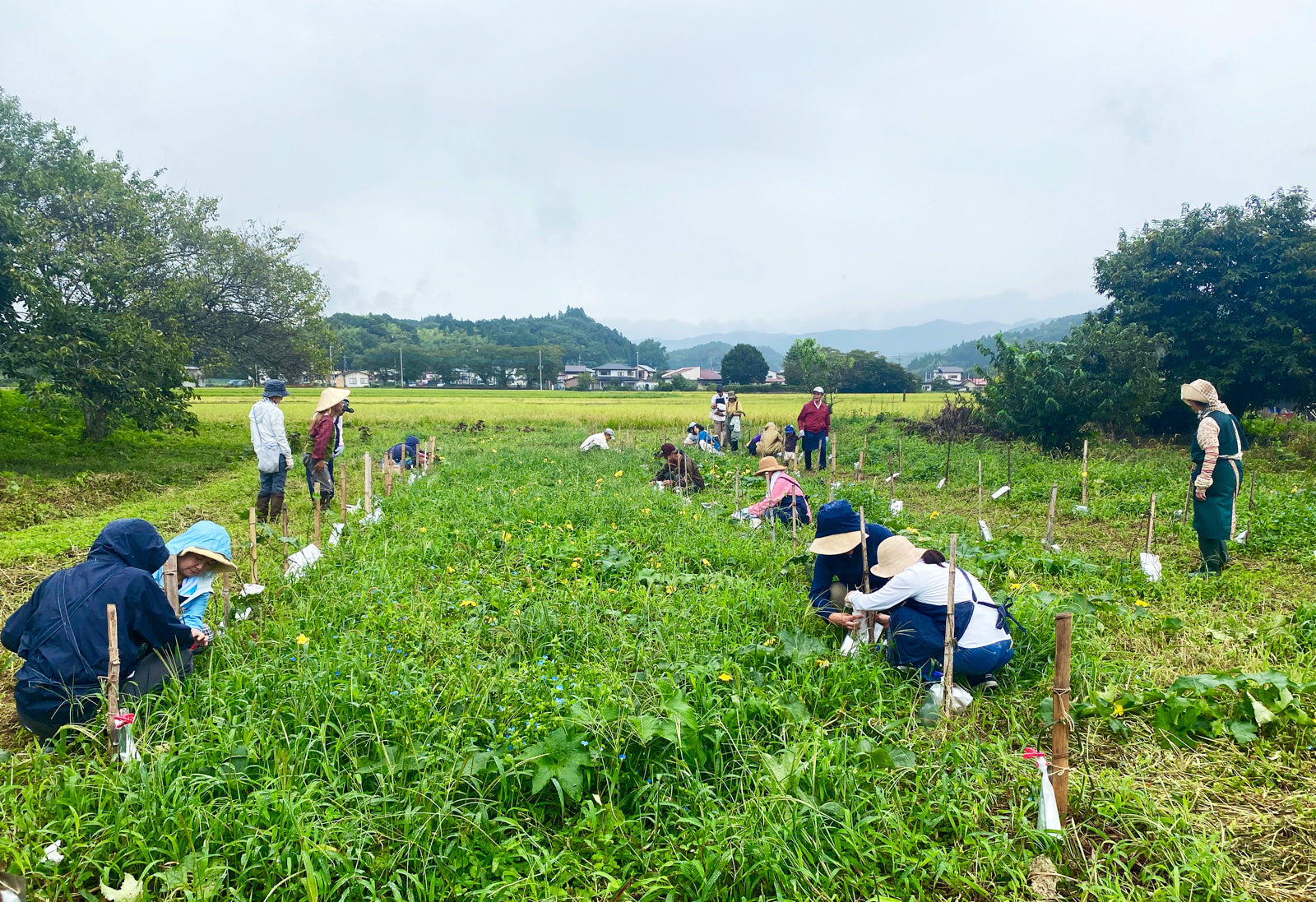 月の巡りと共に－「那須贅沢時間」10巡り目 「採水」